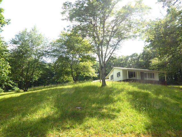 3355 Willie Mauldon Rd, Lutts, TN 38471 - view of yard