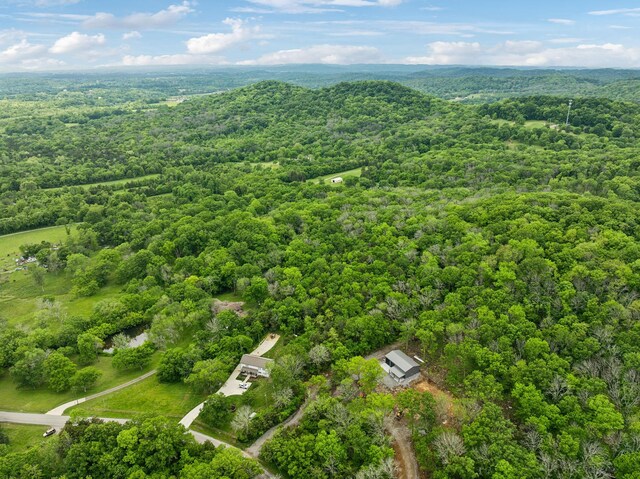 2731 Sanford Rd, Nolensville, TN 37135 - photo 54