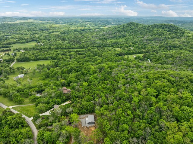 2731 Sanford Rd, Nolensville, TN 37135 - photo 52
