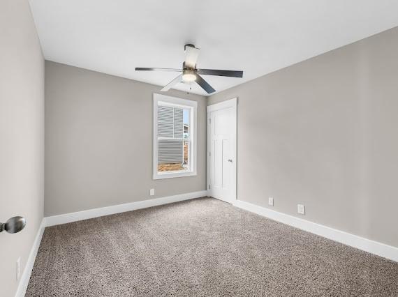 232 Cardinal Crk, Clarksville, TN 37040 - photo 25