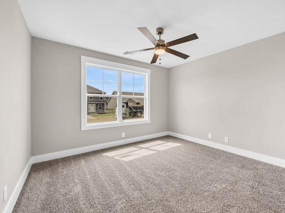 232 Cardinal Crk, Clarksville, TN 37040 - photo 28