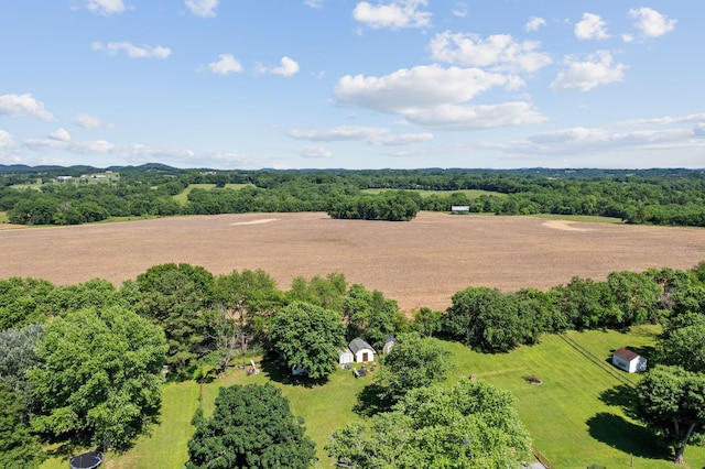 292 Greenfield Ln, Castalian Springs, TN 37031 - photo 15