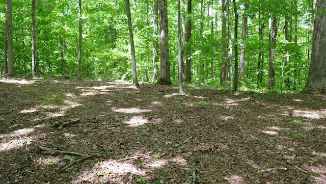5568 Parker Branch Rd, Franklin, TN 37064