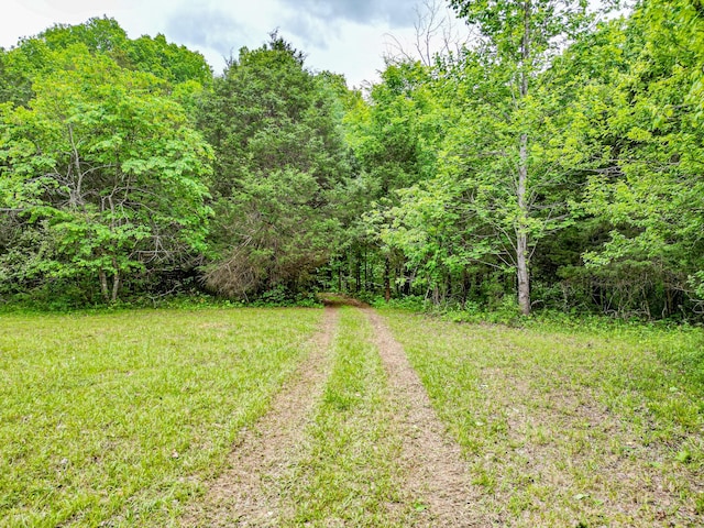5568 Parker Branch Rd, Franklin, TN 37064