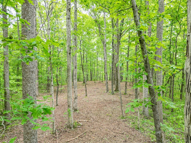 5568 Parker Branch Rd, Franklin, TN 37064