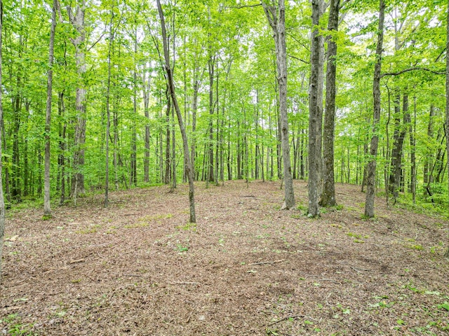 5568 Parker Branch Rd, Franklin, TN 37064