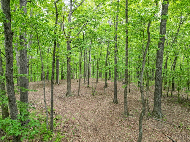 5568 Parker Branch Rd, Franklin, TN 37064