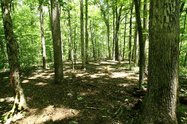 5568 Parker Branch Rd, Franklin, TN 37064