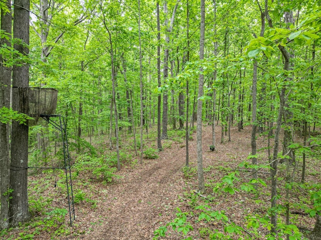 5568 Parker Branch Rd, Franklin, TN 37064