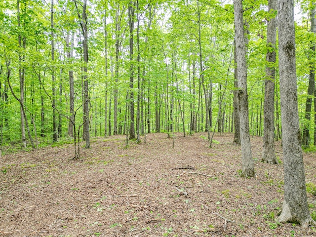 5568 Parker Branch Rd, Franklin, TN 37064