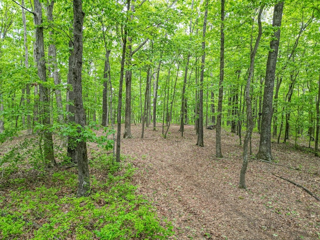 5568 Parker Branch Rd, Franklin, TN 37064