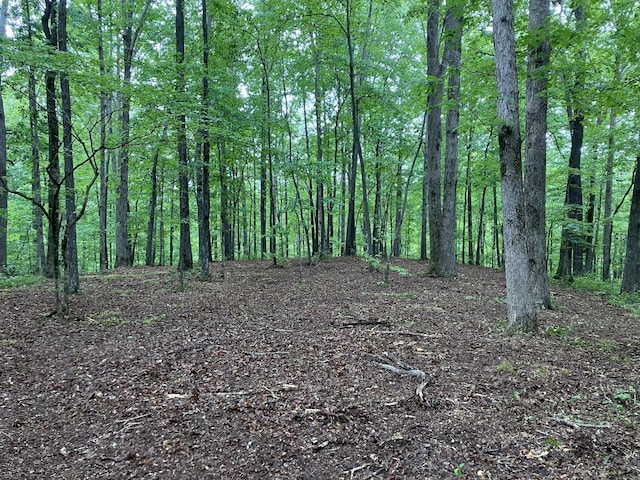 5568 Parker Branch Rd, Franklin, TN 37064