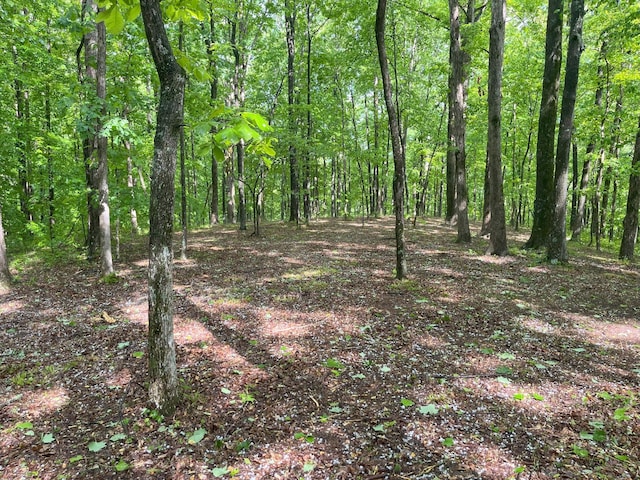 5568 Parker Branch Rd, Franklin, TN 37064