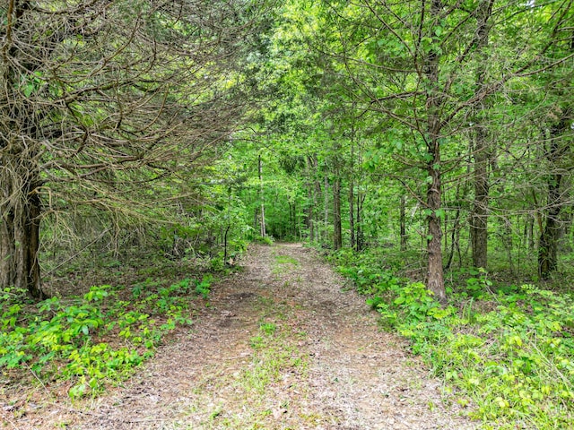 5568 Parker Branch Rd, Franklin, TN 37064
