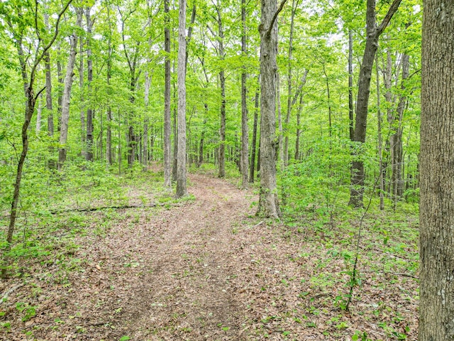 5568 Parker Branch Rd, Franklin, TN 37064