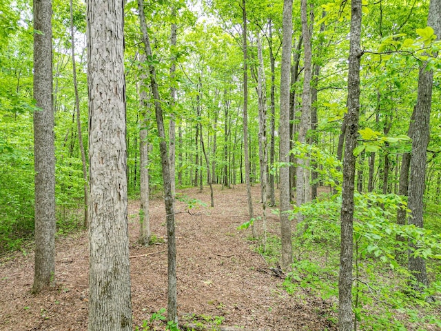 5568 Parker Branch Rd, Franklin, TN 37064