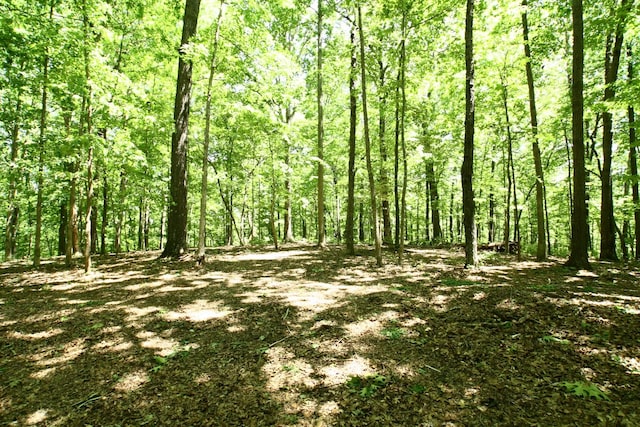 5568 Parker Branch Rd, Franklin, TN 37064