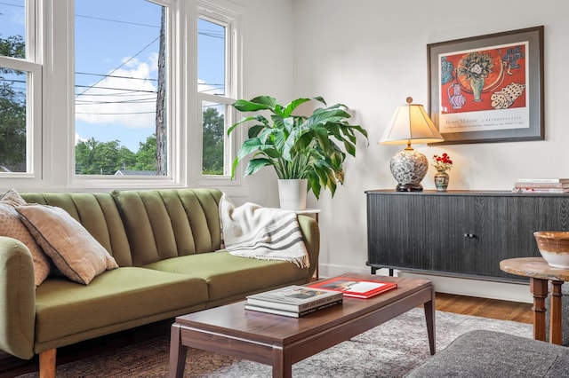 living room featuring wood finished floors