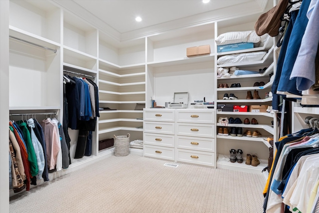 spacious closet featuring carpet flooring