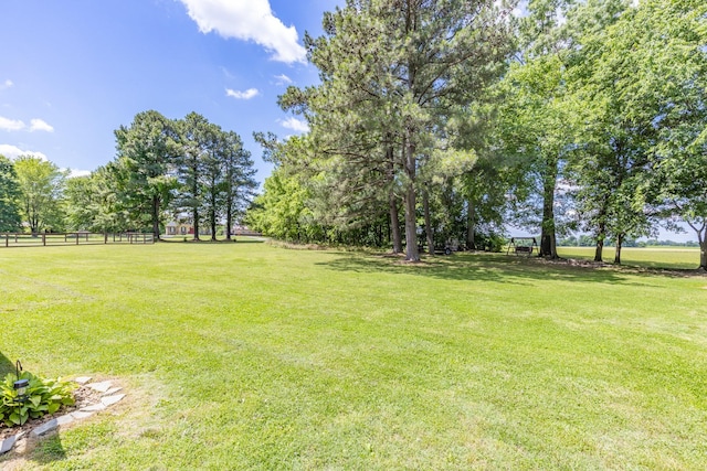 7547 Elm Springs Rd, Orlinda, TN 37141 - view of yard with view of scattered trees