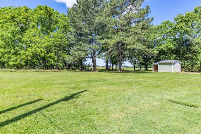 7547 Elm Springs Rd, Orlinda, TN 37141 - view of green lawn with a shed