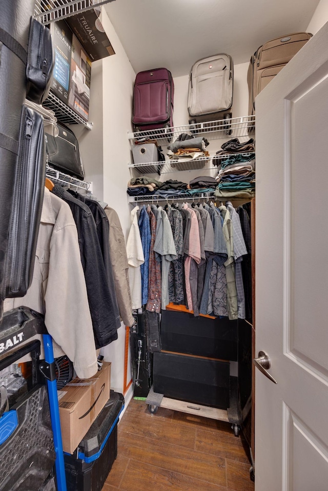 spacious closet featuring wood finished floors
