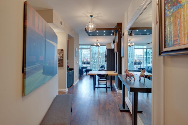 corridor featuring a chandelier, healthy amount of natural light, dark wood-style flooring, and baseboards