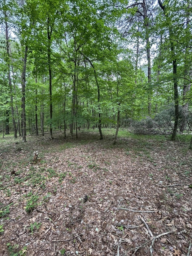 284 Jasper Creek Ct, Jasper, TN 37347