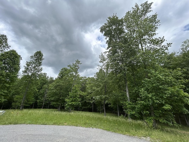 284 Jasper Creek Ct, Jasper, TN 37347