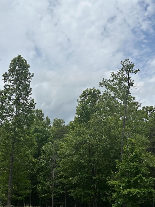 284 Jasper Creek Ct, Jasper, TN 37347