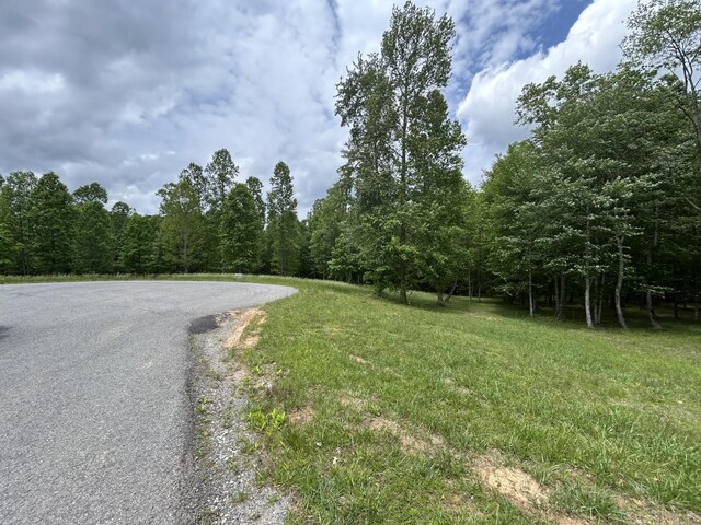 284 Jasper Creek Ct, Jasper, TN 37347