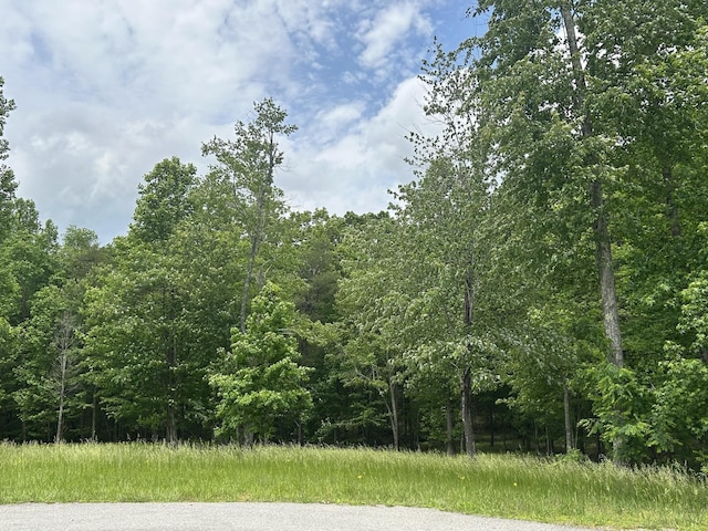 284 Jasper Creek Ct, Jasper, TN 37347