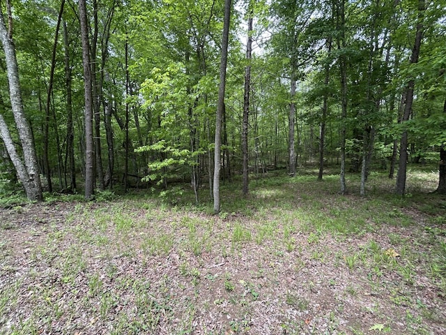 284 Jasper Creek Ct, Jasper, TN 37347