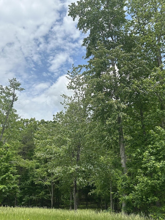 284 Jasper Creek Ct, Jasper, TN 37347