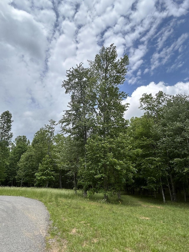 284 Jasper Creek Ct, Jasper, TN 37347