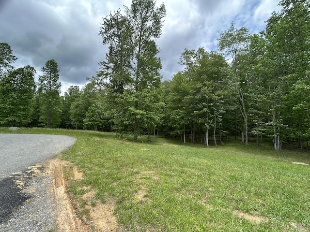 284 Jasper Creek Ct, Jasper, TN 37347
