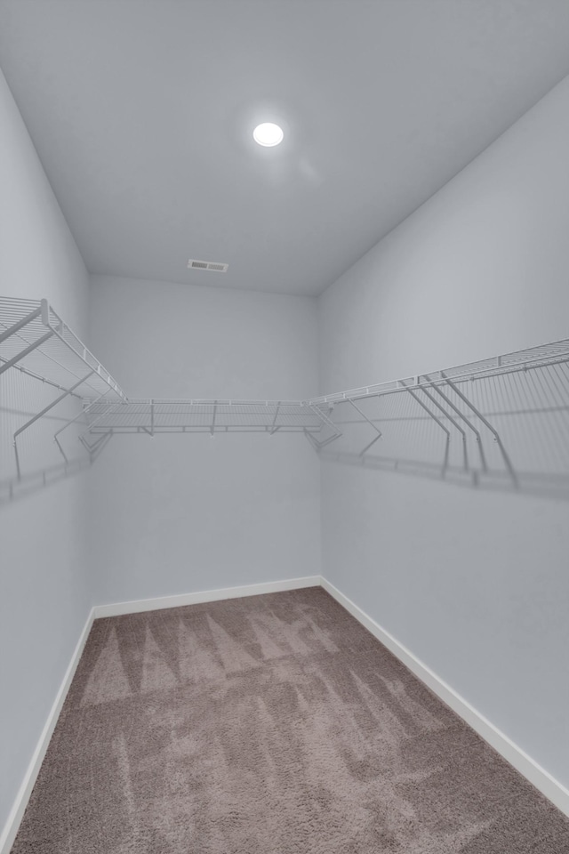 118 Merion Way, Lebanon, TN 37087 - walk in closet featuring carpet flooring