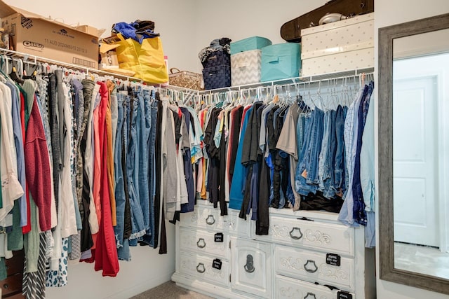 1017 Village Ct, Burns, TN 37029 - view of walk in closet