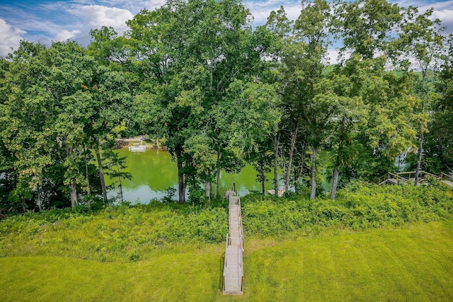 633 Post Office Rd, Rock Island, TN 38581 - water view