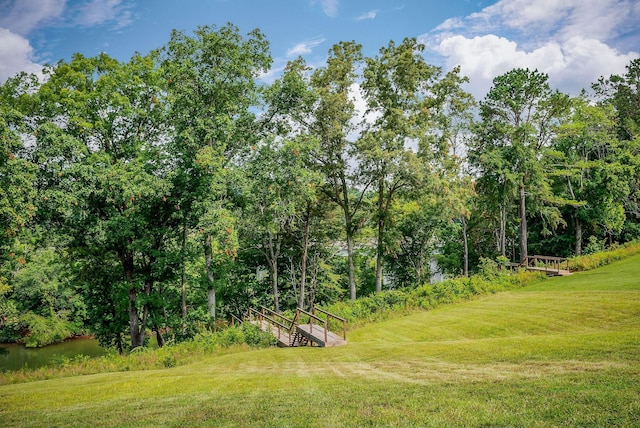 633 Post Office Rd, Rock Island, TN 38581 - view of green lawn