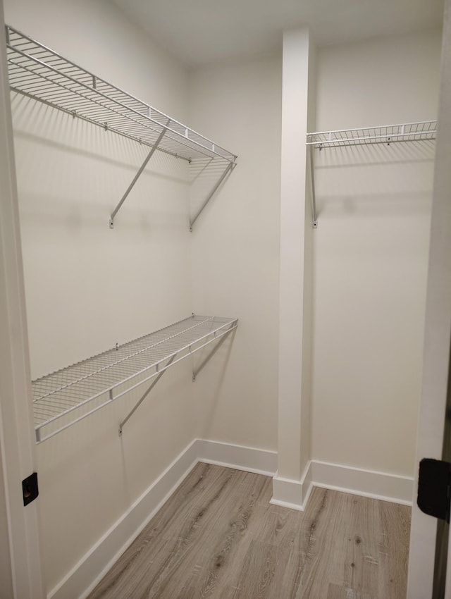 1305 Ellington Dr, Lafayette, TN 37083 - walk in closet with light wood-type flooring