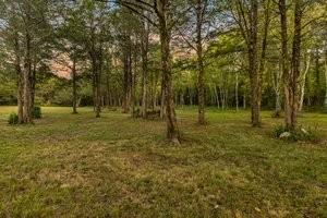 160 Osteen Ln, Chapel Hill, TN 37034 - photo 12