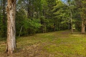 160 Osteen Ln, Chapel Hill, TN 37034 - photo 4