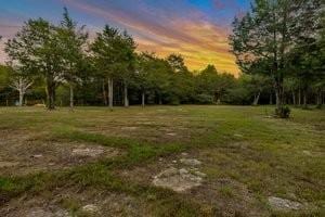 160 Osteen Ln, Chapel Hill, TN 37034 - photo 9
