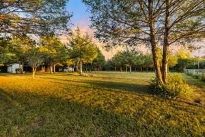 160 Osteen Ln, Chapel Hill, TN 37034 - photo 2