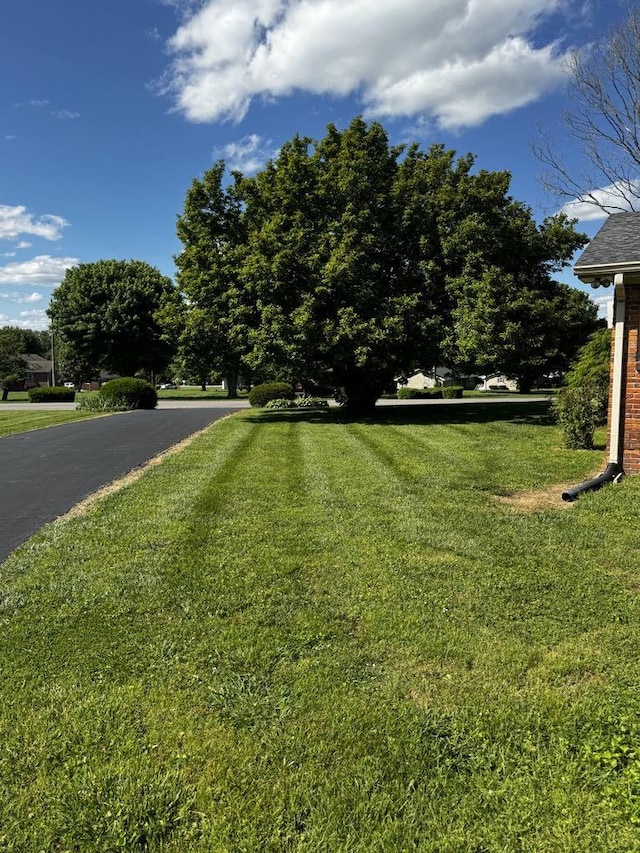 1307 Ellington Dr, Lafayette, TN 37083 - view of grassy yard