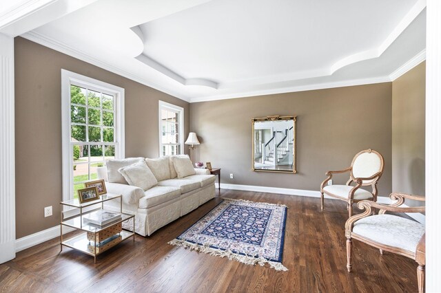 5313 Curlybark Pl, Brentwood, TN 37027 - living room with a tray ceiling, ornamental molding, wood finished floors, and baseboards
