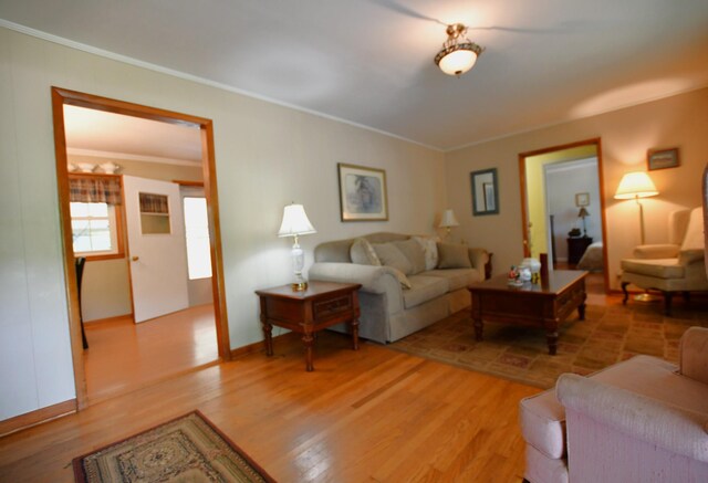 9073 Sherwood Rd, Sherwood, TN 37376 - living area with crown molding, light wood finished floors, and baseboards