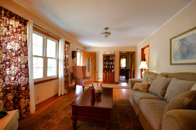 9073 Sherwood Rd, Sherwood, TN 37376 - living room with dark wood-style flooring and crown molding