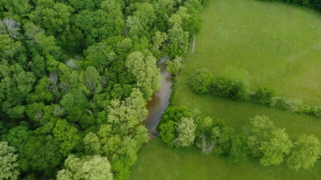 9073 Sherwood Rd, Sherwood, TN 37376 - bird's eye view